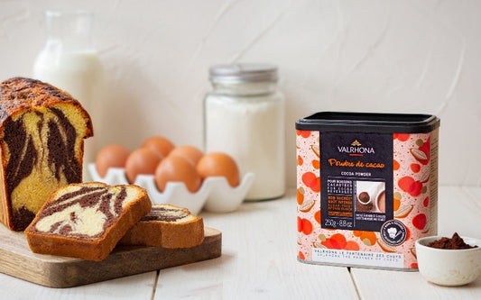 Valrhona dutch processed premium cocoa powder