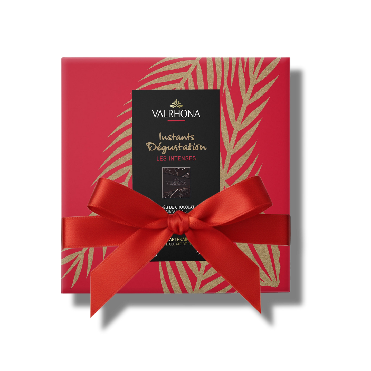 Box of 50 Dark Chocolate Squares - 8.8oz