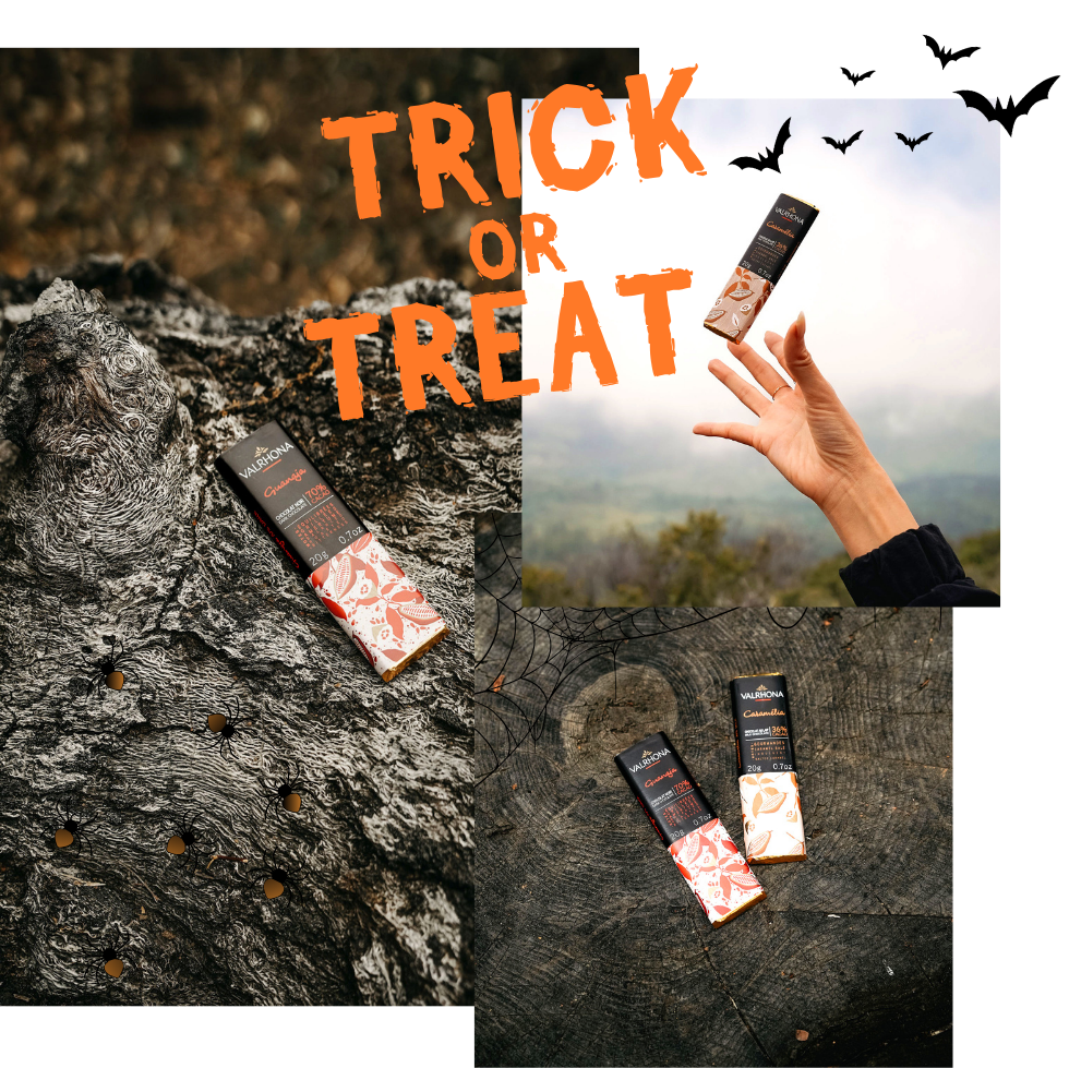 Trick or treat chocolate bars