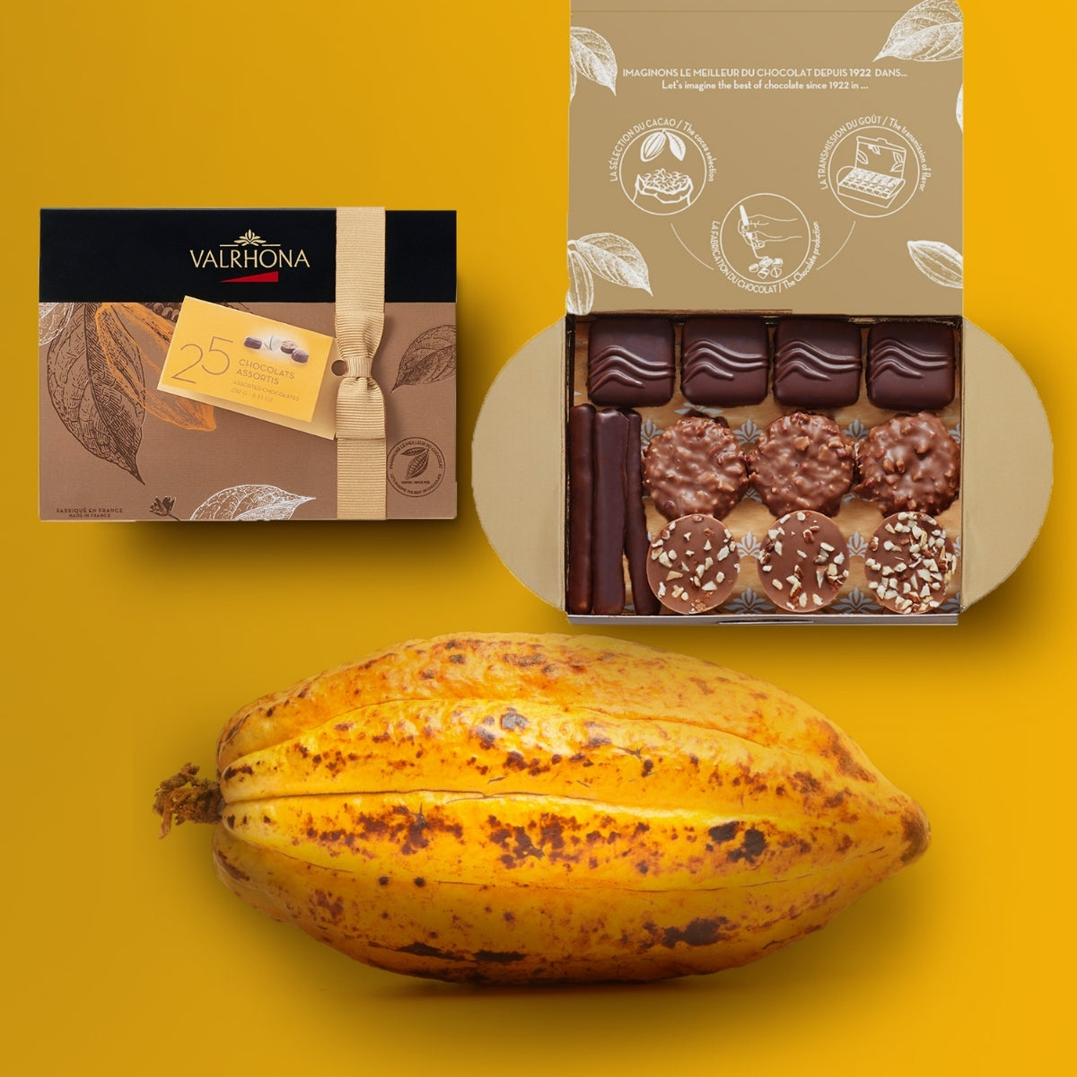 Assorted Chocolate Ballotin – 25 Fine Chocolates (8 Varieties)